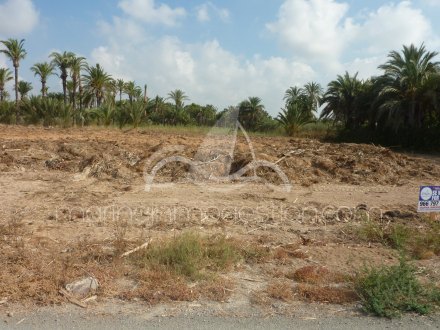 Terreno, Situado en Elche Alicante 5