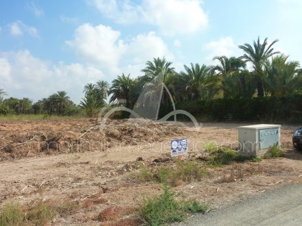 Terreno, Situado en Elche Alicante 6