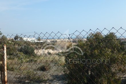 Finca, Situado en Elche Alicante 6