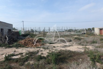 Finca, Situado en Elche Alicante 9