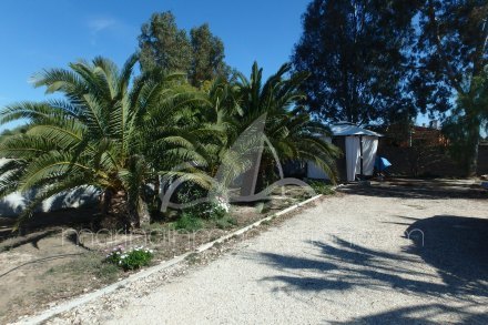 Chalet independiente, Situado en Elche Alicante 16