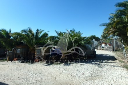 Chalet independiente, Situado en Elche Alicante 15