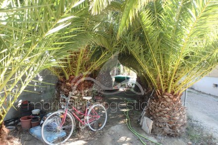 Chalet independiente, Situado en Elche Alicante 14