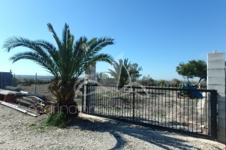 Chalet independiente, Situado en Elche Alicante 13