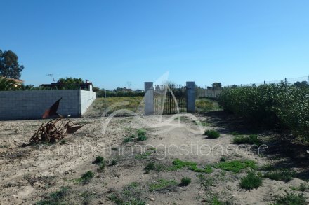 Chalet independiente, Situado en Elche Alicante 11