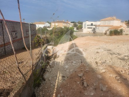 Terreno, Situado en San Fulgencio Alicante 2