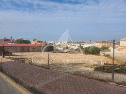 Terreno, Situado en San Fulgencio Alicante 1