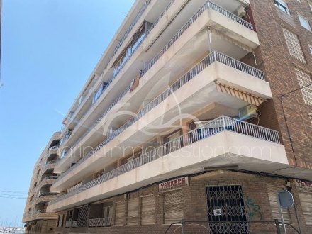 Apartamento, Situado en Torrevieja Alicante 1