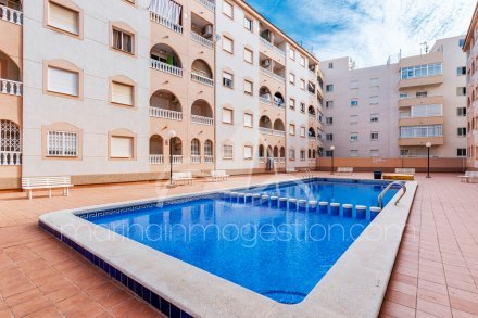 Apartamento, Situado en Torrevieja Alicante 1