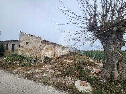 Finca, Situado en San Fulgencio Alicante 2