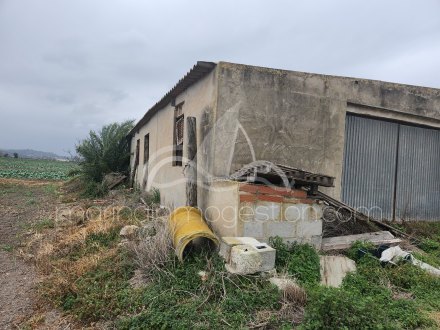 Finca, Situado en San Fulgencio Alicante 5