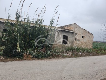 Terreno, Situado en San Fulgencio Alicante 4