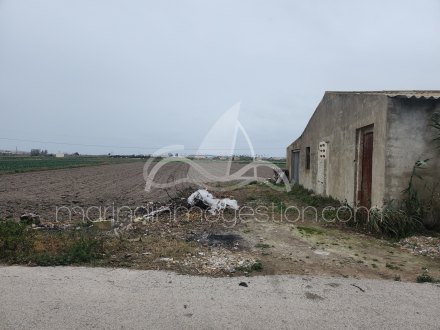 Terreno, Situado en San Fulgencio Alicante 5