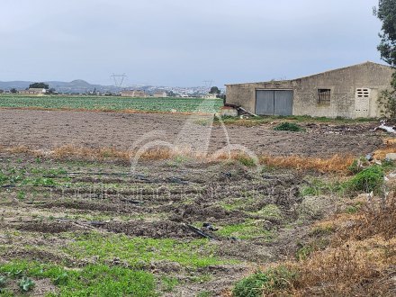 Terreno, Situado en San Fulgencio Alicante 8