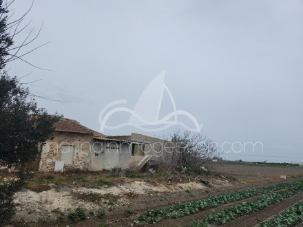Terreno, Situado en San Fulgencio Alicante 9
