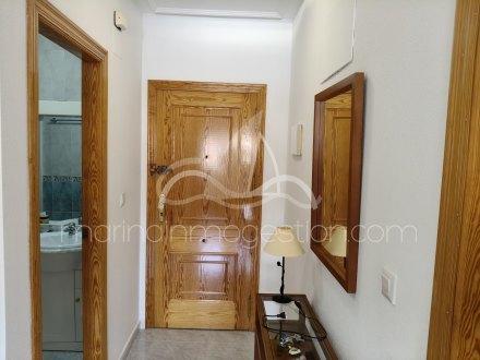 Apartamento, Situado en Elche Alicante 2