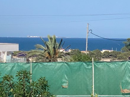 Terreno, Situado en Elche Alicante 2