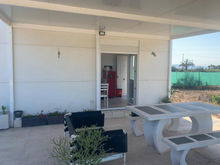 Terreno, Situado en Elche Alicante 7