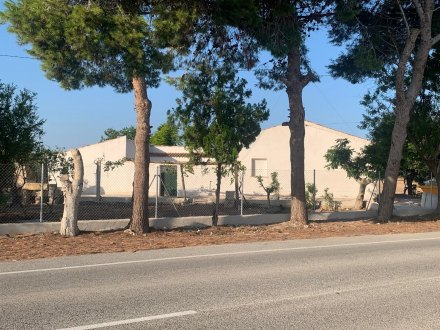 Finca, Situado en Dolores Alicante 1