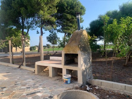 Finca, Situado en Dolores Alicante 3