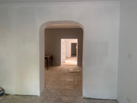 Finca, Situado en Dolores Alicante 7