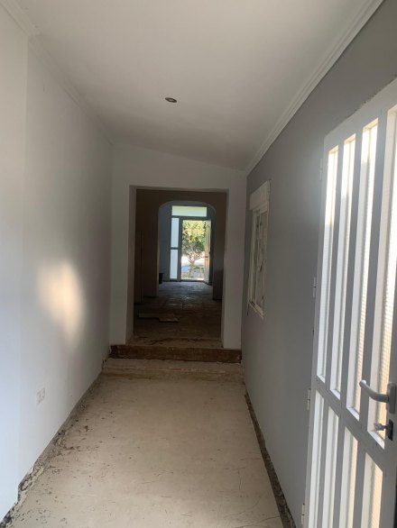 Finca, Situado en Dolores Alicante 9