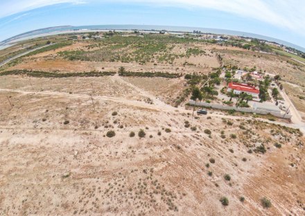 Terreno, Situado en Elche Alicante 3