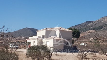 Chalet independiente, Situado en Hondón de los Frailes Alicante 6