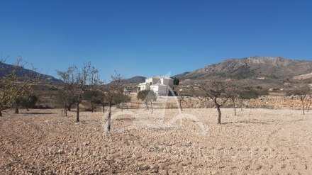 Chalet independiente, Situado en Hondón de los Frailes Alicante 7