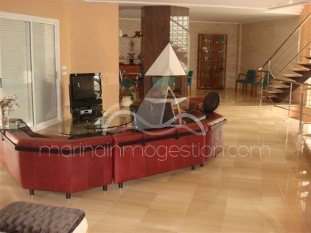 Chalet independiente, Situado en Elche Alicante 19