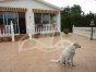 Chalet independiente, Situado en San FulgencioAlicante 18