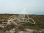 Terreno, Situado en ElcheAlicante 6