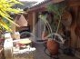 Finca, Situado en San FulgencioAlicante 16