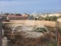 Terreno, Situado en San FulgencioAlicante 5