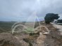 Finca, Situado en San FulgencioAlicante 4