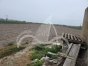 Finca, Situado en San FulgencioAlicante 6